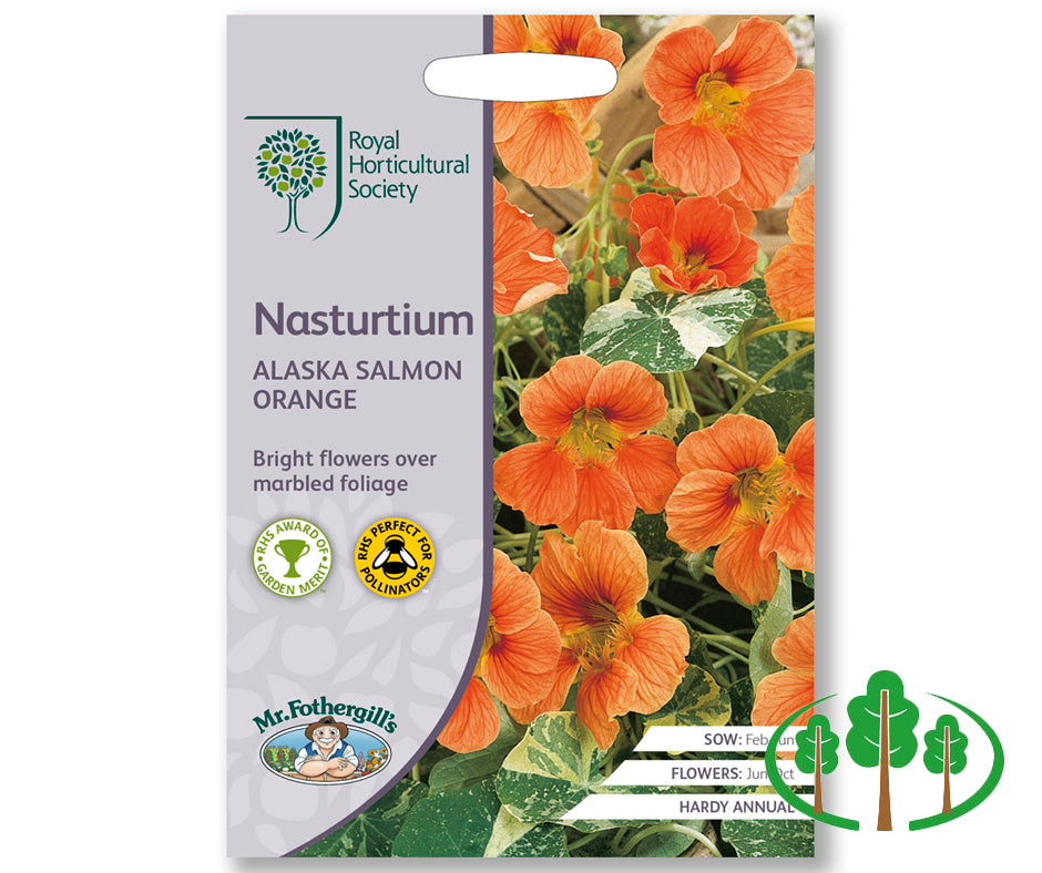 RHS-NASTURTIUM Alaska Salmon Orange