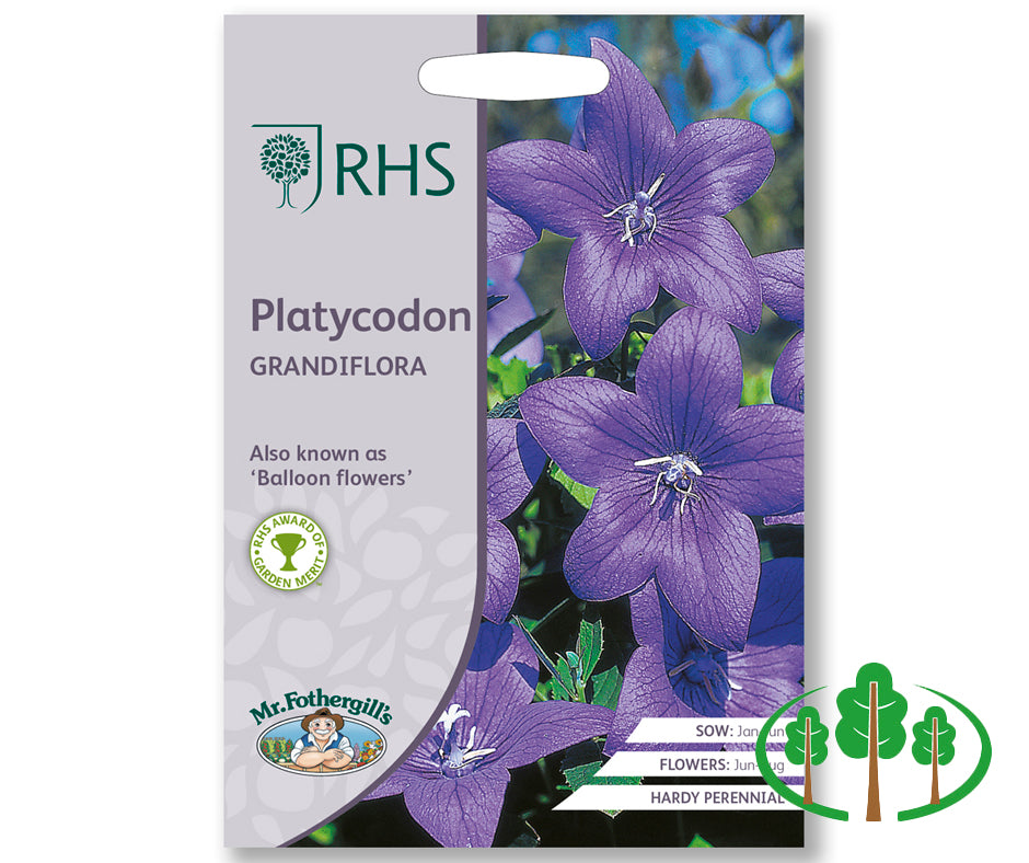 RHS-PLATYCODON grandiflora
