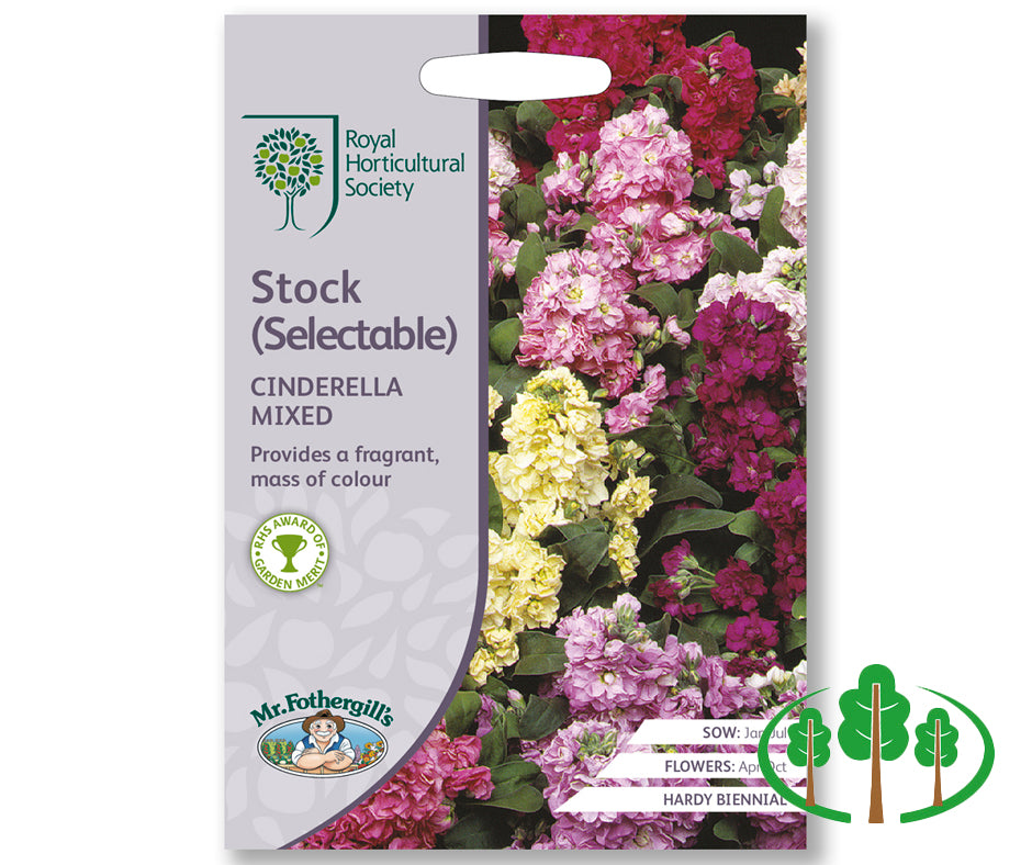 RHS-STOCK Cinderella Series Mixed