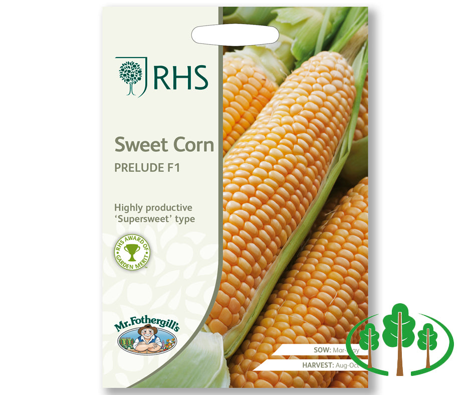 RHS-SWEET CORN Prelude F1