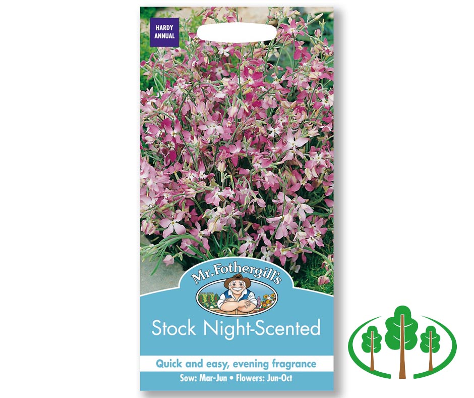STOCK NIGHT SCENTED
