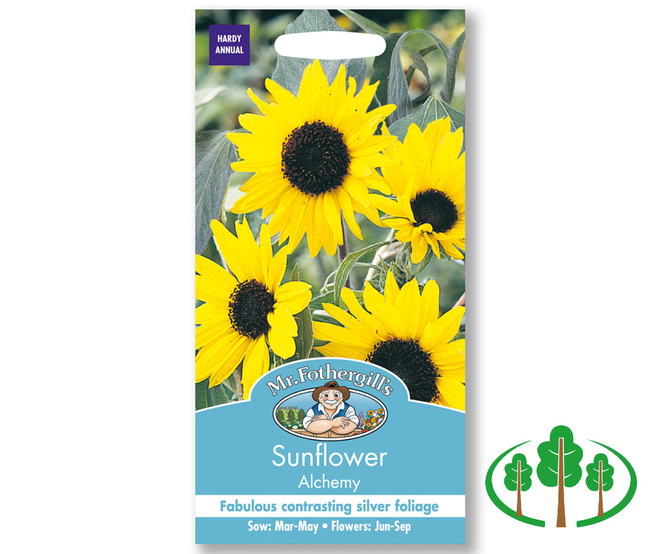 SUNFLOWER Alchemy