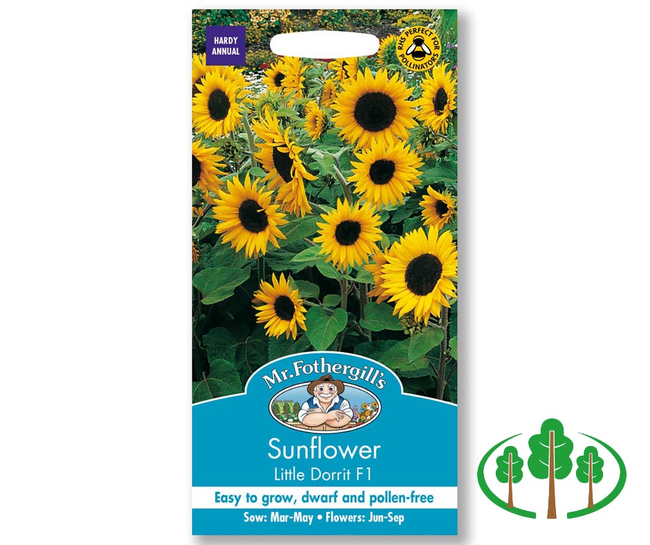 SUNFLOWER Little Dorrit F1