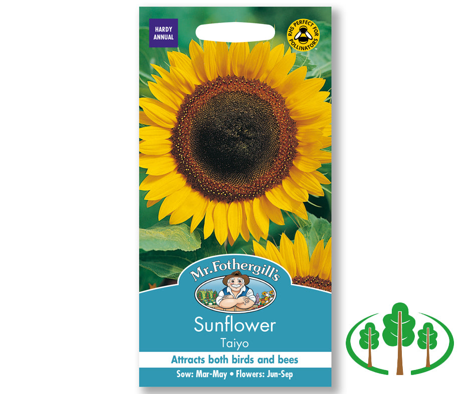 SUNFLOWER Taiyo