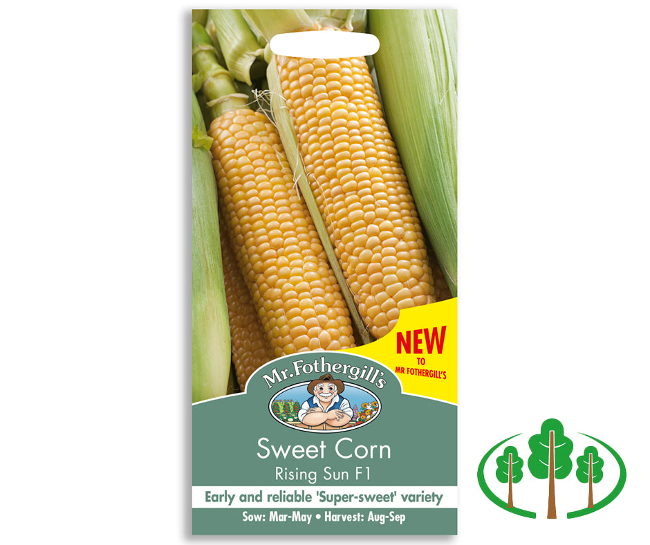 SWEET CORN Rising Sun F1