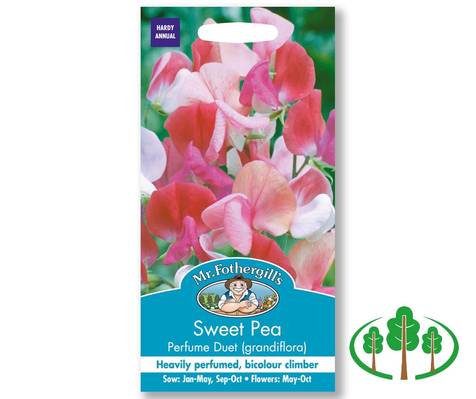 SWEET PEA Perfume Duet (grandiflora)