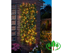 Load image into Gallery viewer, Solar InLit Ivy Trellis
