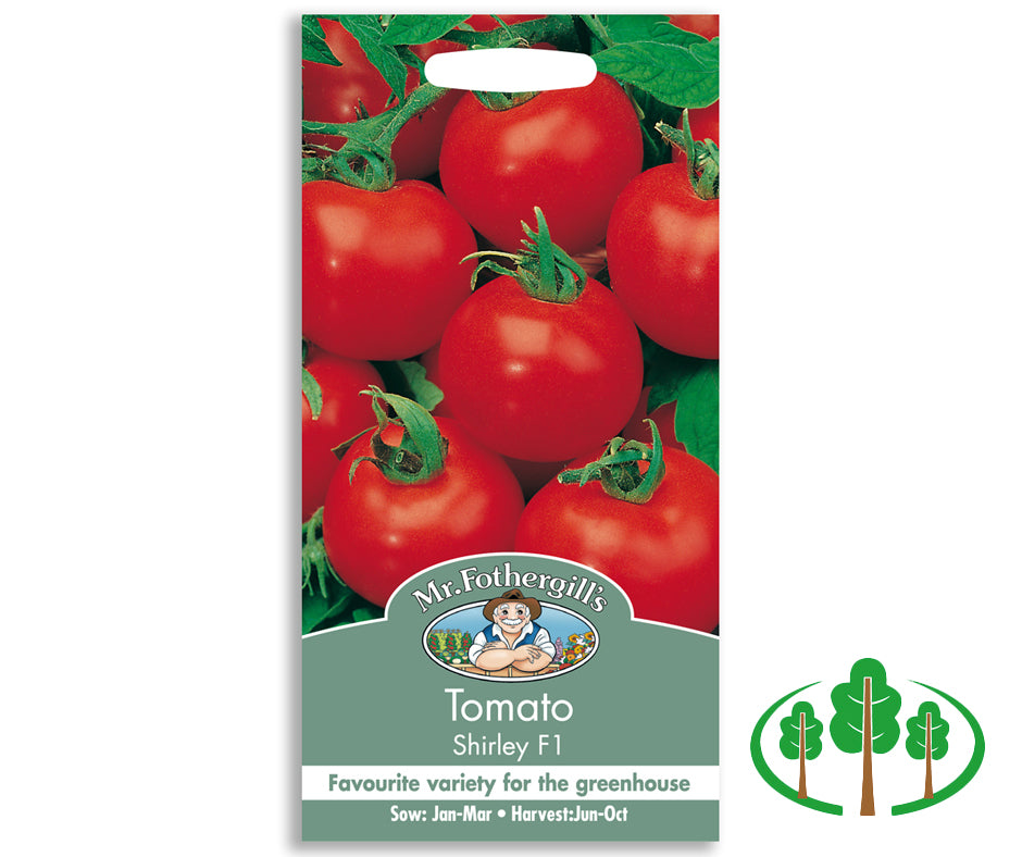 TOMATO Shirley F1