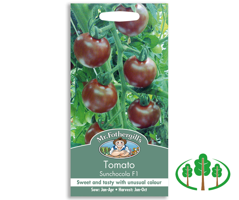 TOMATO Sunchocola F1