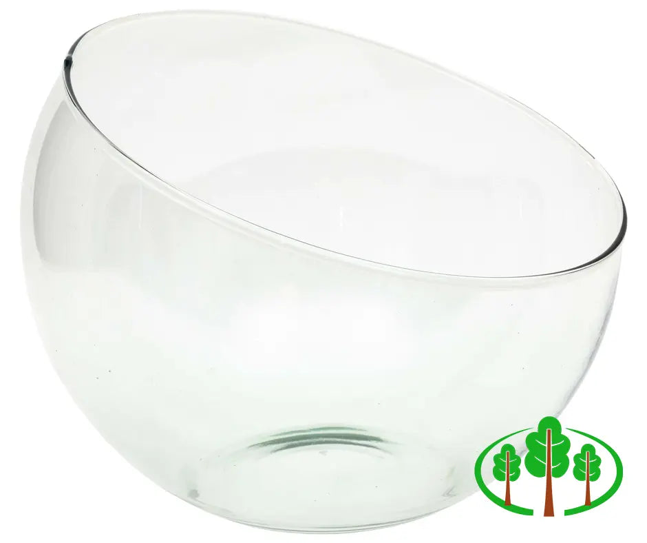 Terrarium 'Spider Bowl'