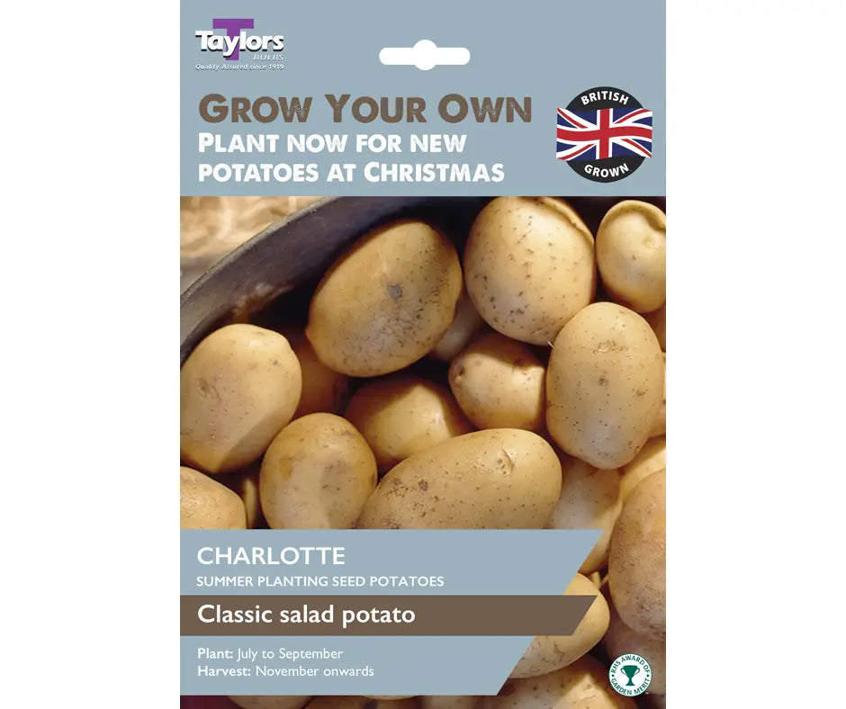 Christmas New Potatoes -  Charlotte