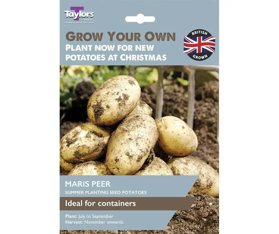 Christmas New Potatoes -  Maris Peer