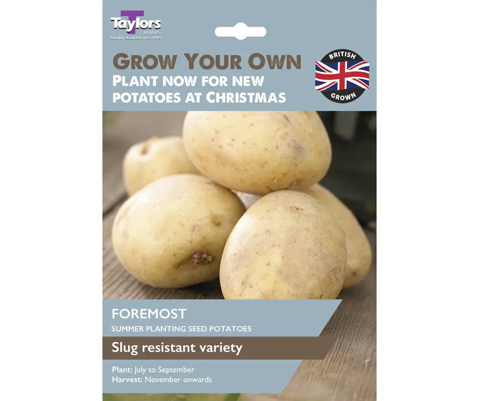 Christmas New Potatoes -  Foremost