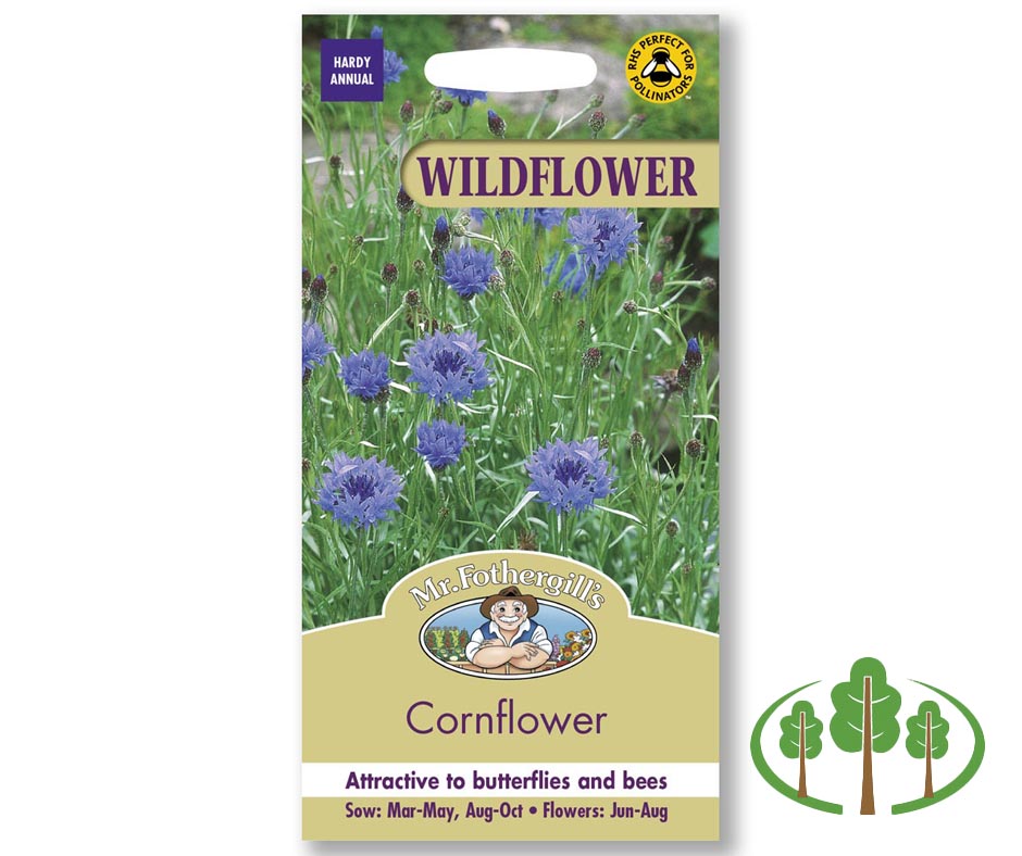 WILDFLOWER Cornflower