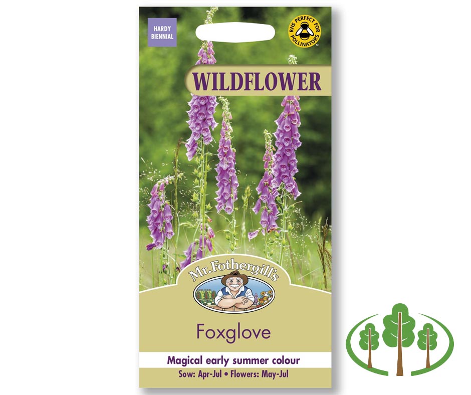 WILDFLOWER Foxglove