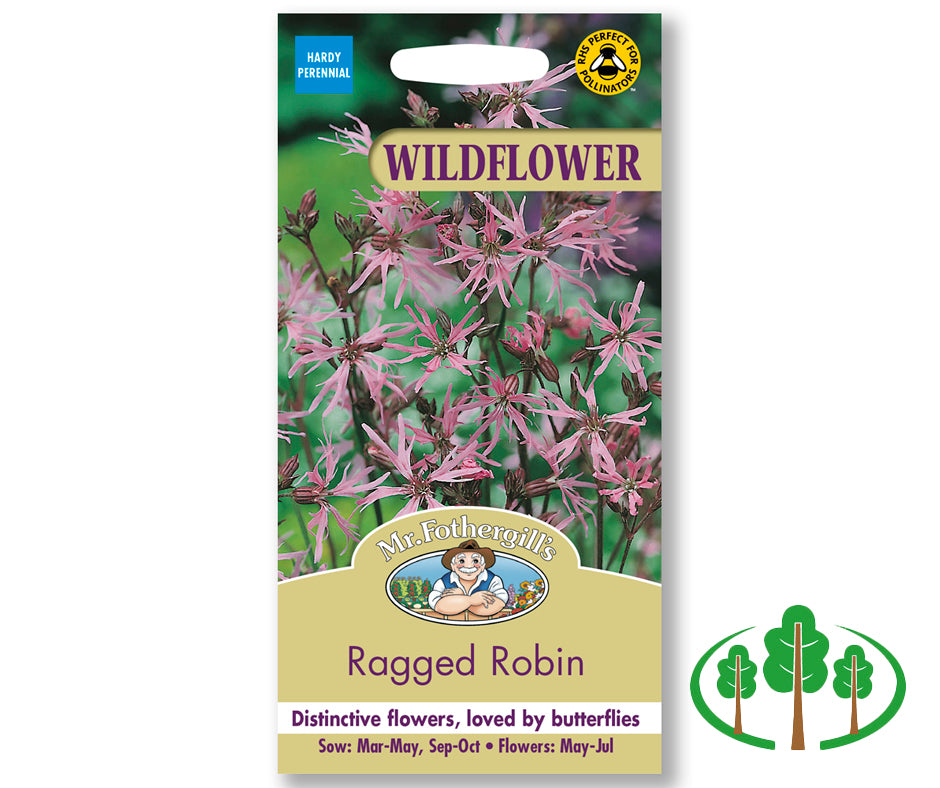 WILDFLOWER Ragged Robin