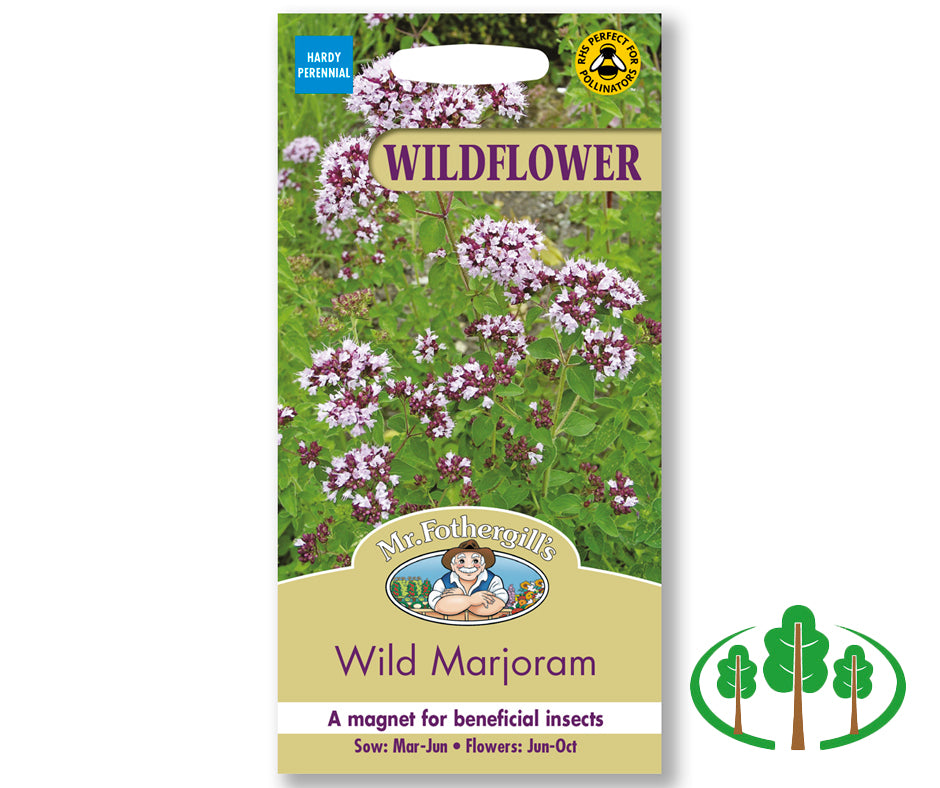 WILDFLOWER Wild Marjoram