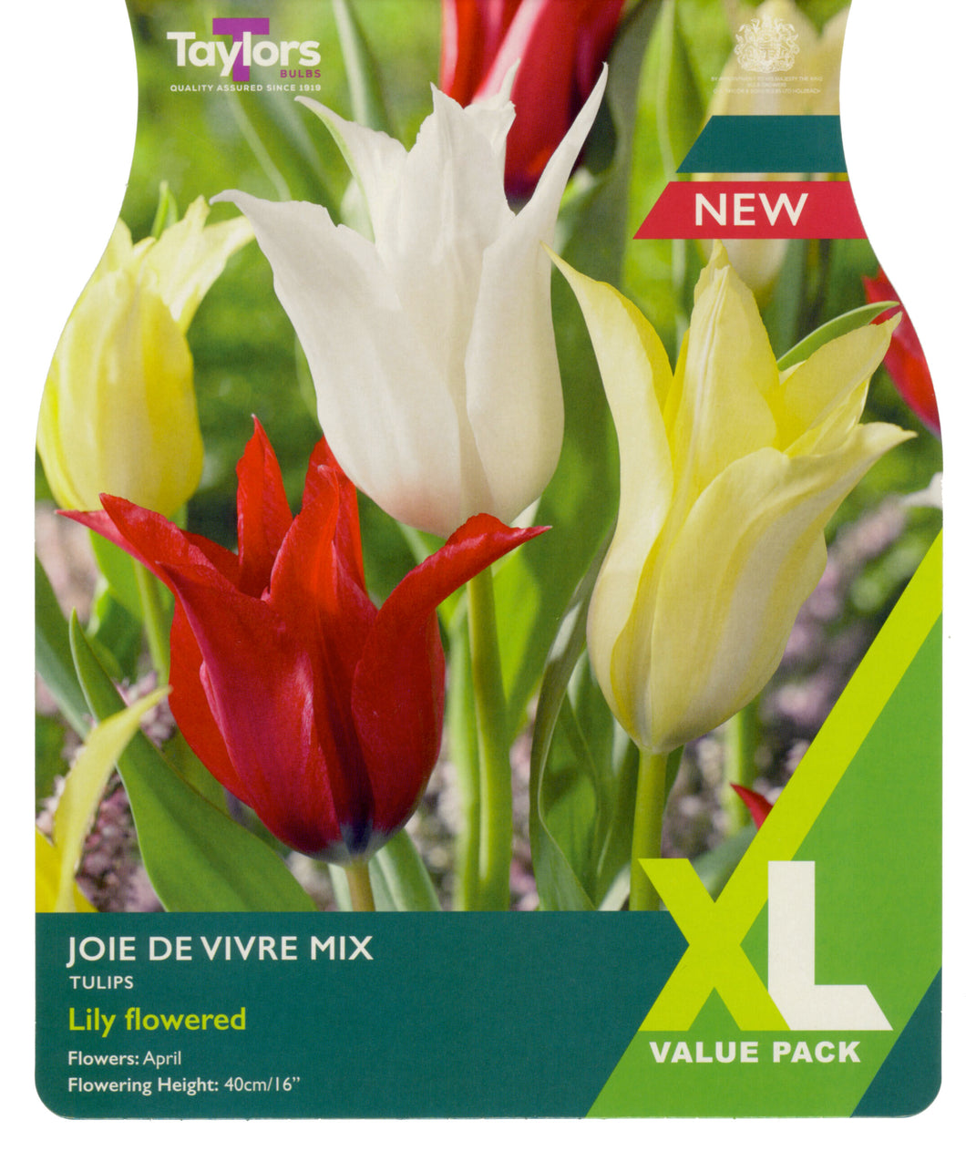Tulip Joie de Vivre Mix XL
