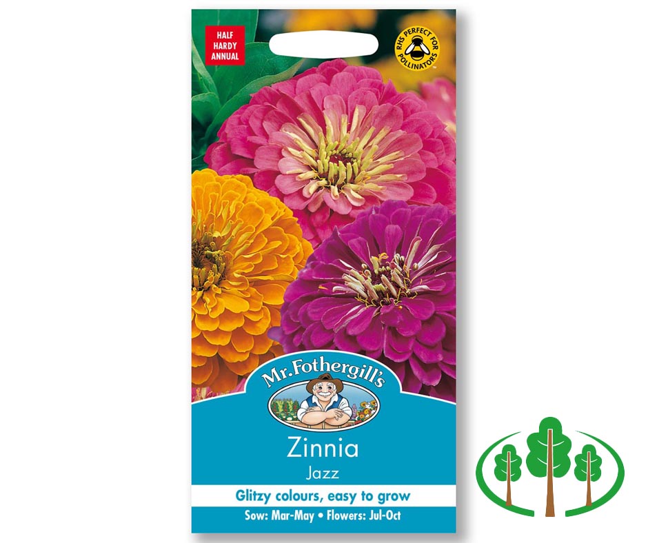 ZINNIA Jazz