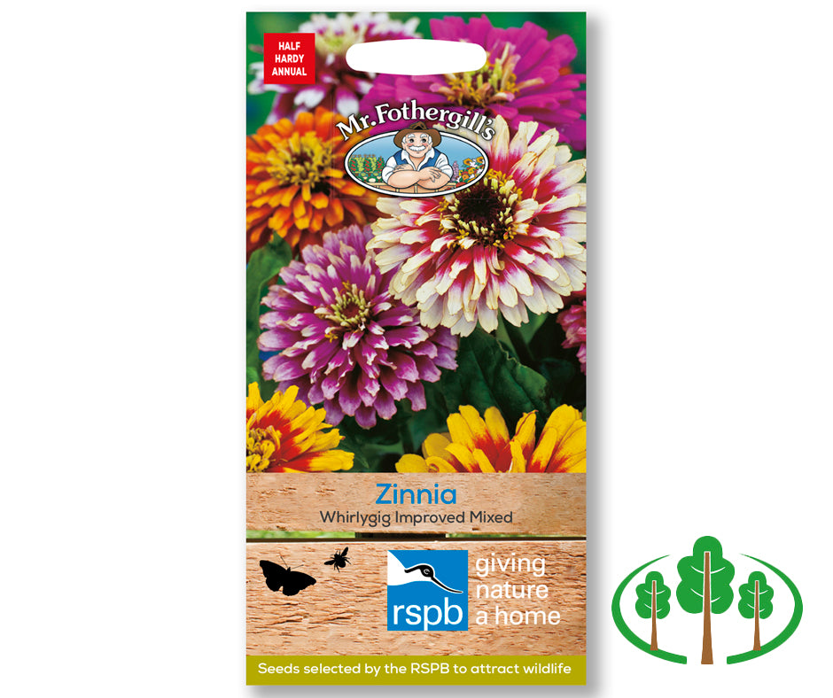 ZINNIA Whirlygig Mixed