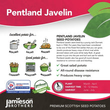 Load image into Gallery viewer, Pentland Javelin 2Kg
