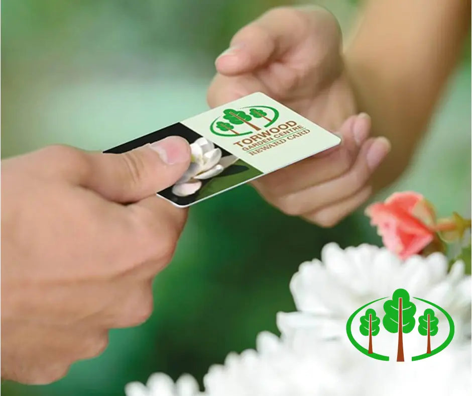 Reward Card