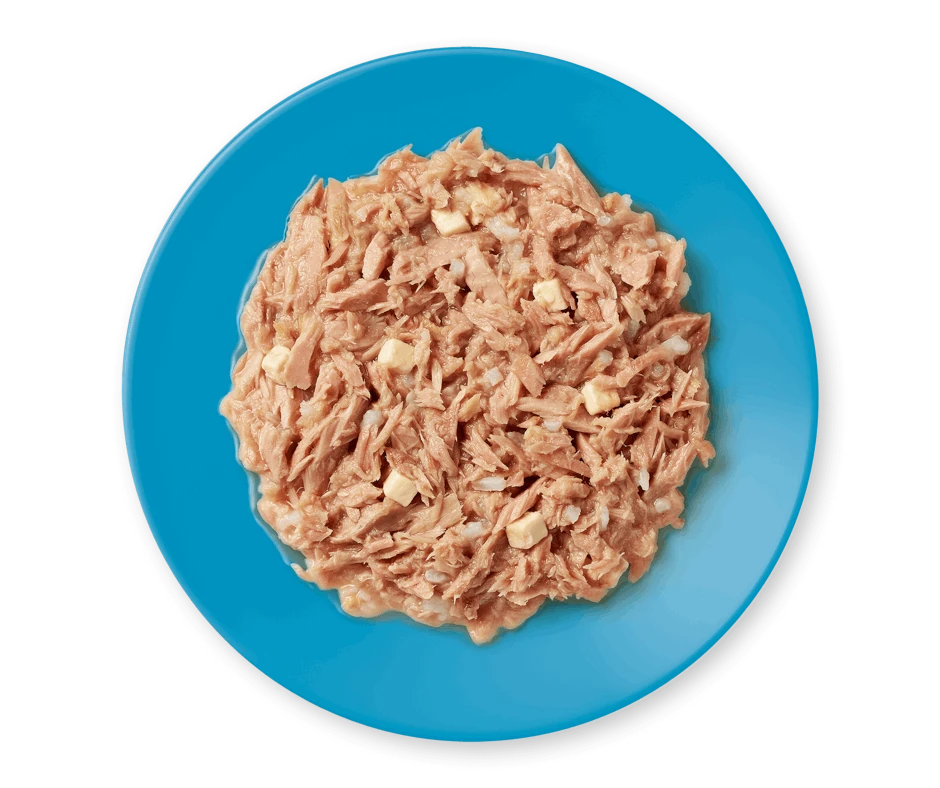 Applaws Tuna Fillet & Cheese 70g