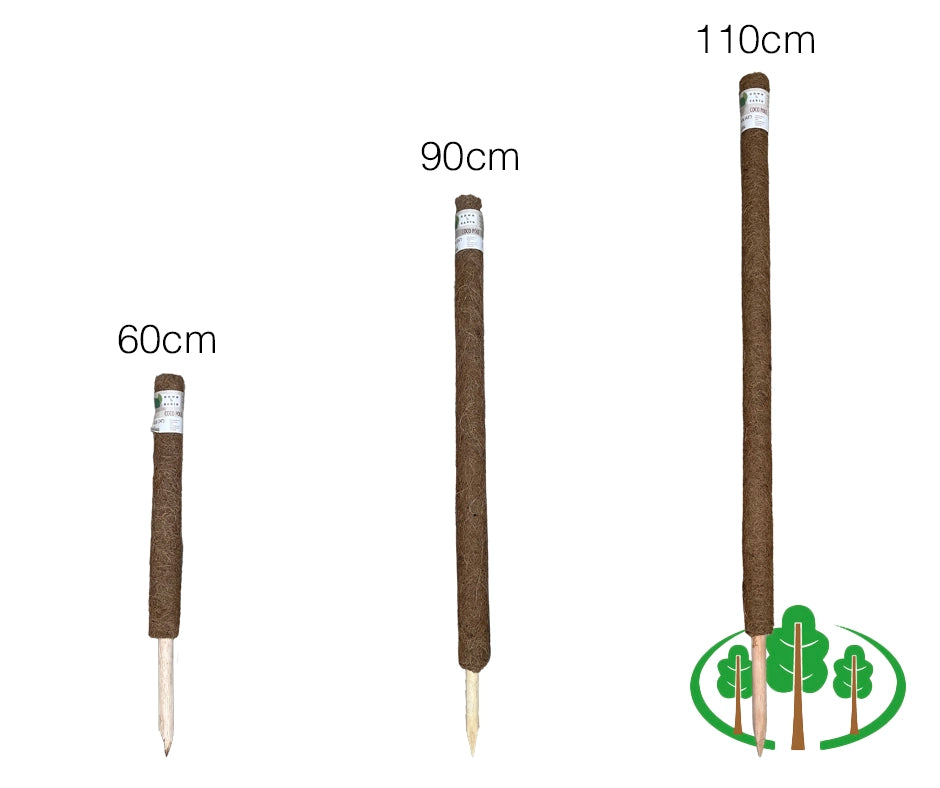 Coco Pole 110cm