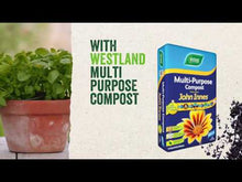 Load and play video in Gallery viewer, Westland Multi-Purpose Compost with John Innes (Peat Free) 50L

